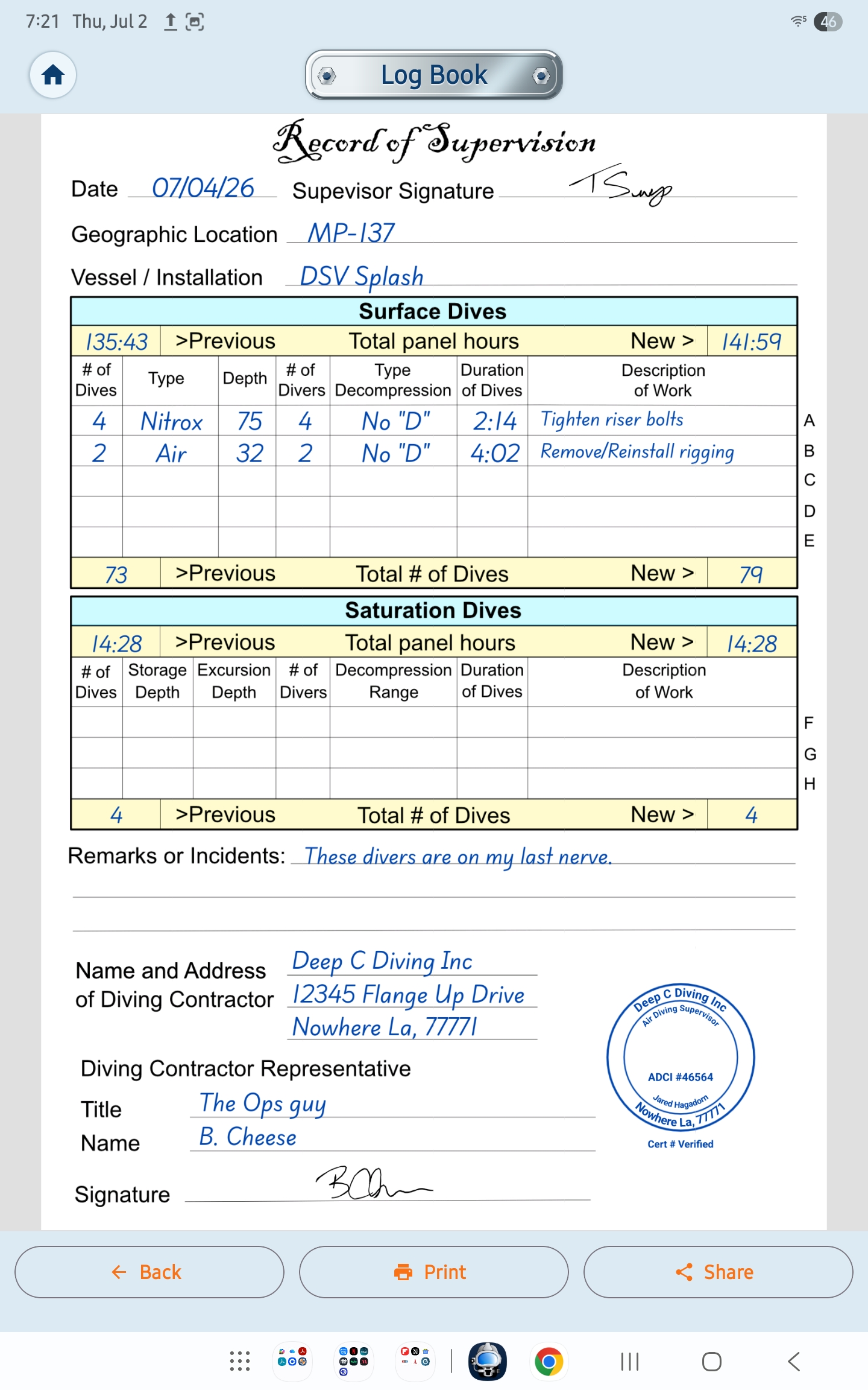 Completed HagaLog record of supervision page